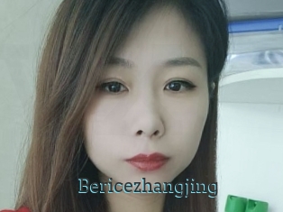 Bericezhangjing