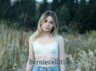 Berniecelittleb