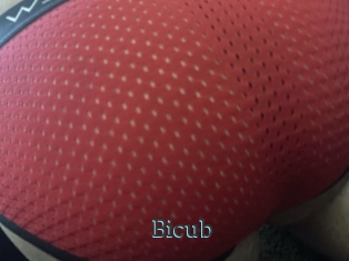 Bicub