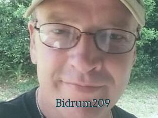 Bidrum209