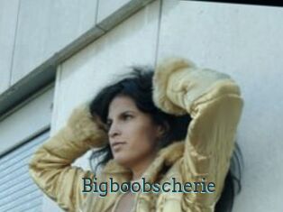 Bigboobscherie
