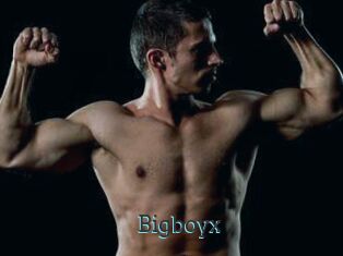 Bigboyx