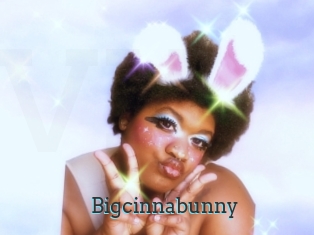 Bigcinnabunny