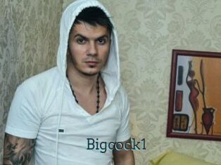 Bigcock1