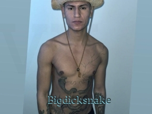 Bigdicksnake