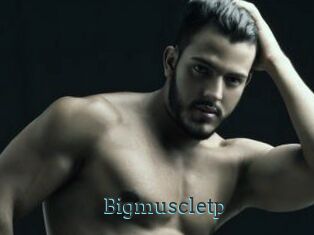 Bigmuscletp