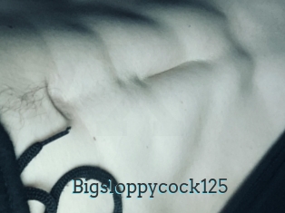 Bigsloppycock125
