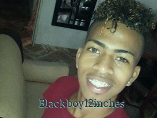 Blackboy12inches
