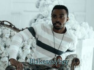 Blakesexyboy