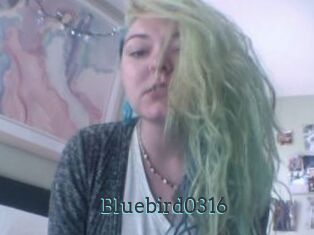 Bluebird0316