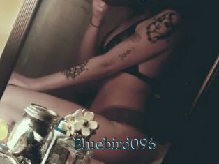 Bluebird096