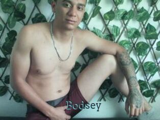 Bodsey