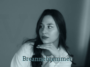 Breannebremmer