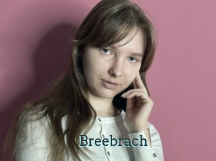 Breebrach