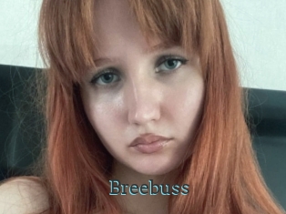 Breebuss