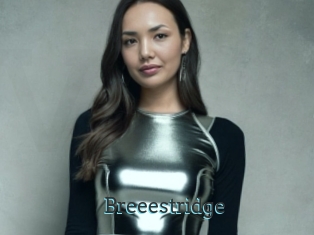 Breeestridge
