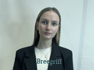 Breegriff