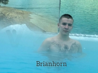 Brianhorn