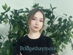 Bridgethaymore