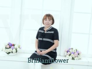 Brilliantflower