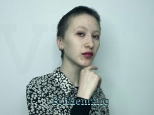 Brittfenning