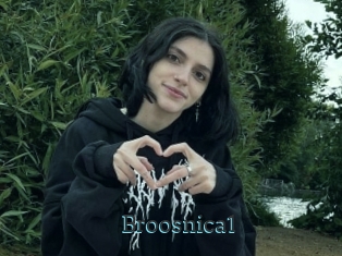 Broosnica1