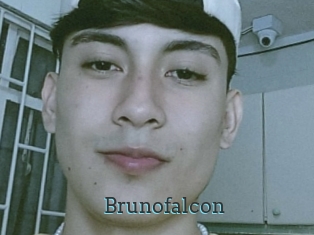 Brunofalcon