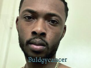 Buldgycancer