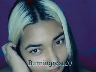 Burningrose20