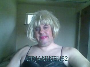 CDJANINE1182
