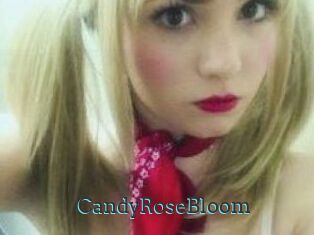 CandyRoseBloom