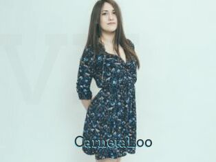 CarnetaLoo