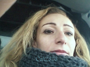 Cat2323