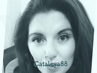 Cataleya88