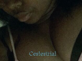 Ceslestrial