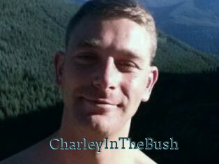 CharleyInTheBush