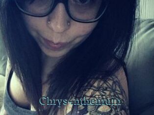 Chrys4nthemum