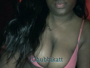 Chubbikatt
