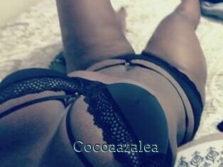 Cocoaazalea