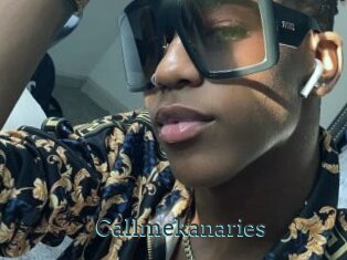 Callmekanaries