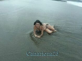 Canariona23