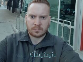 Cangingie