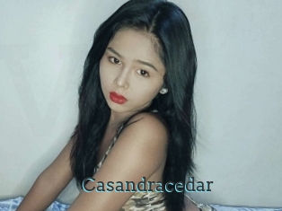Casandracedar