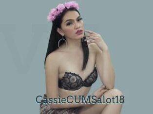 CassieCUMSalot18