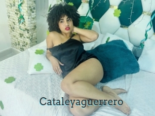 Cataleyaguerrero