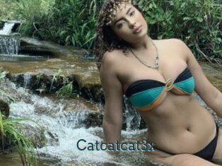 Catcatcat3x