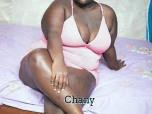 Chany