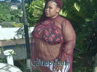 Chubby_bule