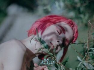 Citty