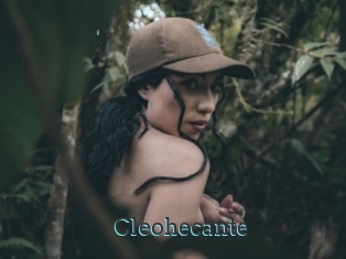 Cleohecante